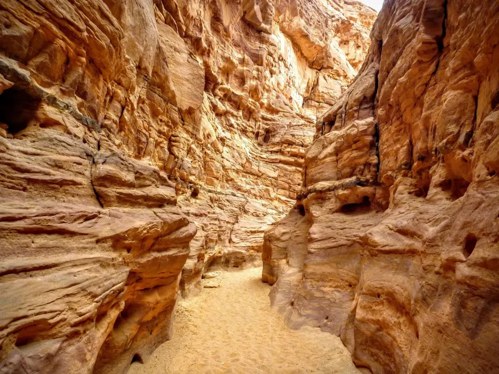 The narrow sandstone walls of the Colored Canyon in Sinai