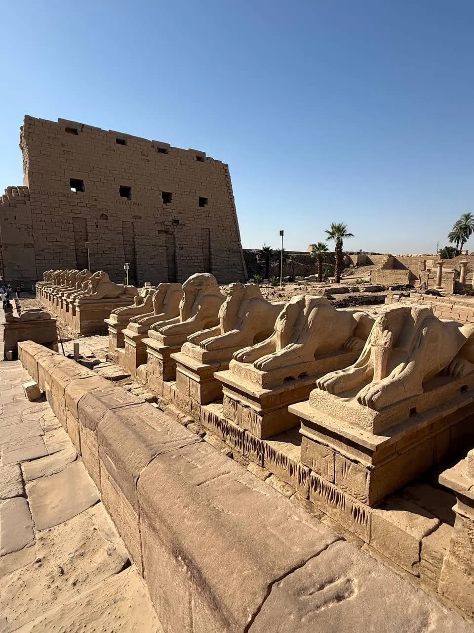 The avenue of ram-headed sphinxes leading to the first pylon of Karnak Temple, Luxor