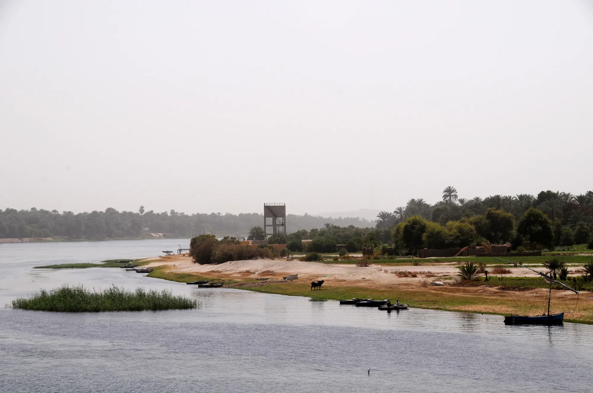 Nile landscape near Aswan
