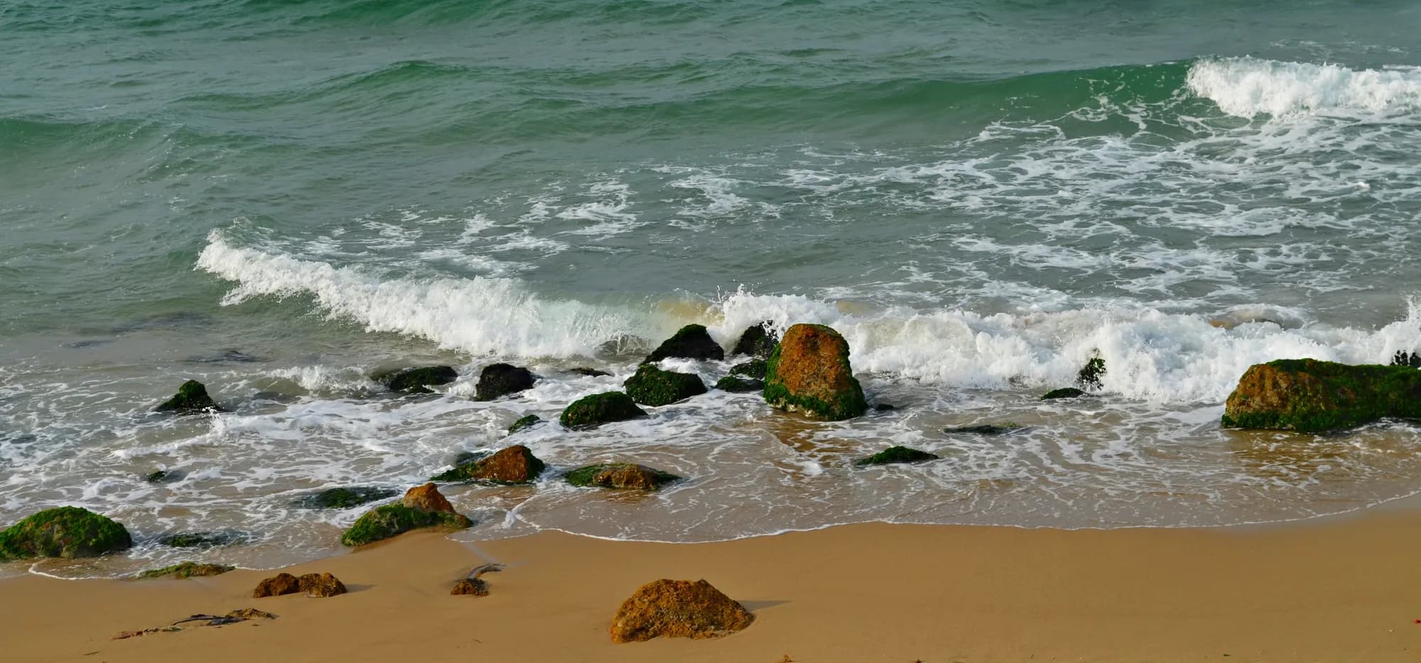 Mediterranean coast / Alexandria