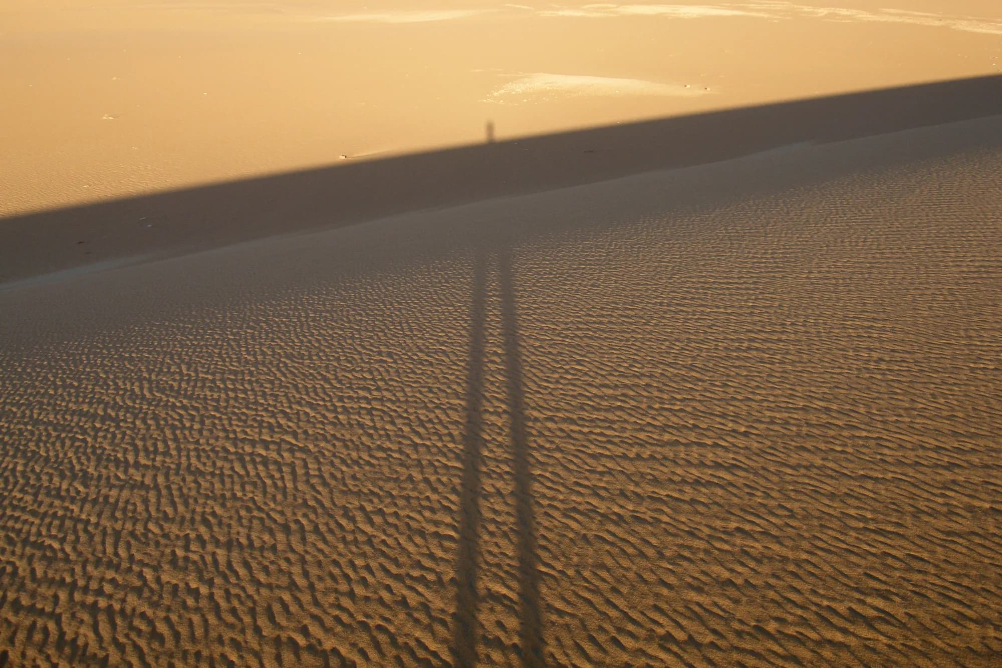 Dakhla Oasis / Sahara dunes